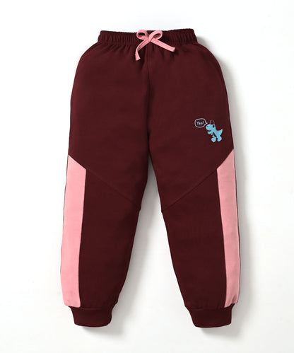 Dino Squad Full Sleeves Hooded Sweatshirt & Joggers Set | Pink