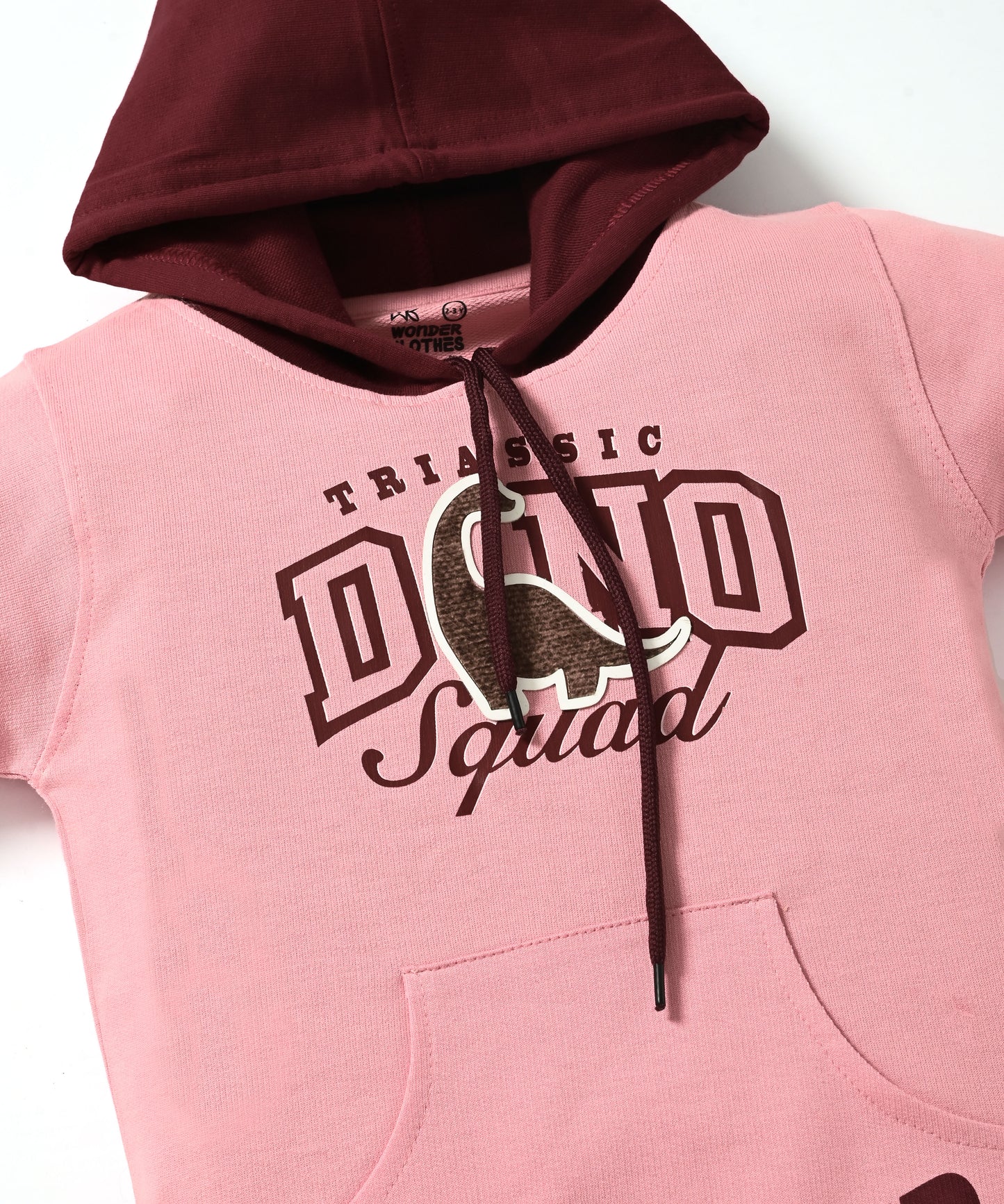 Dino Squad Full Sleeves Hooded Sweatshirt & Joggers Set | Pink
