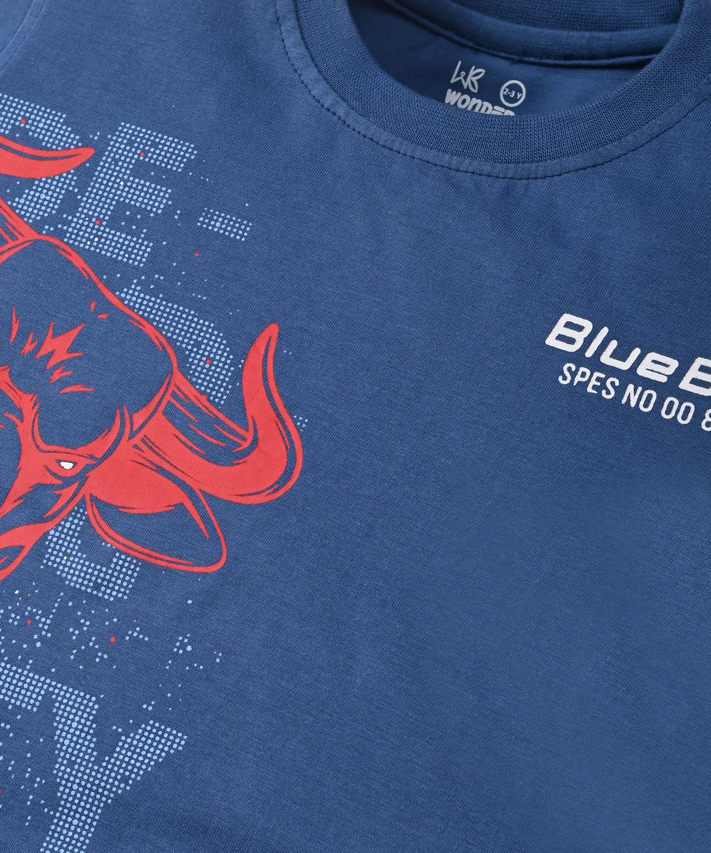 Bulls City Half Sleeves T-Shirt & Shorts Set | Blue