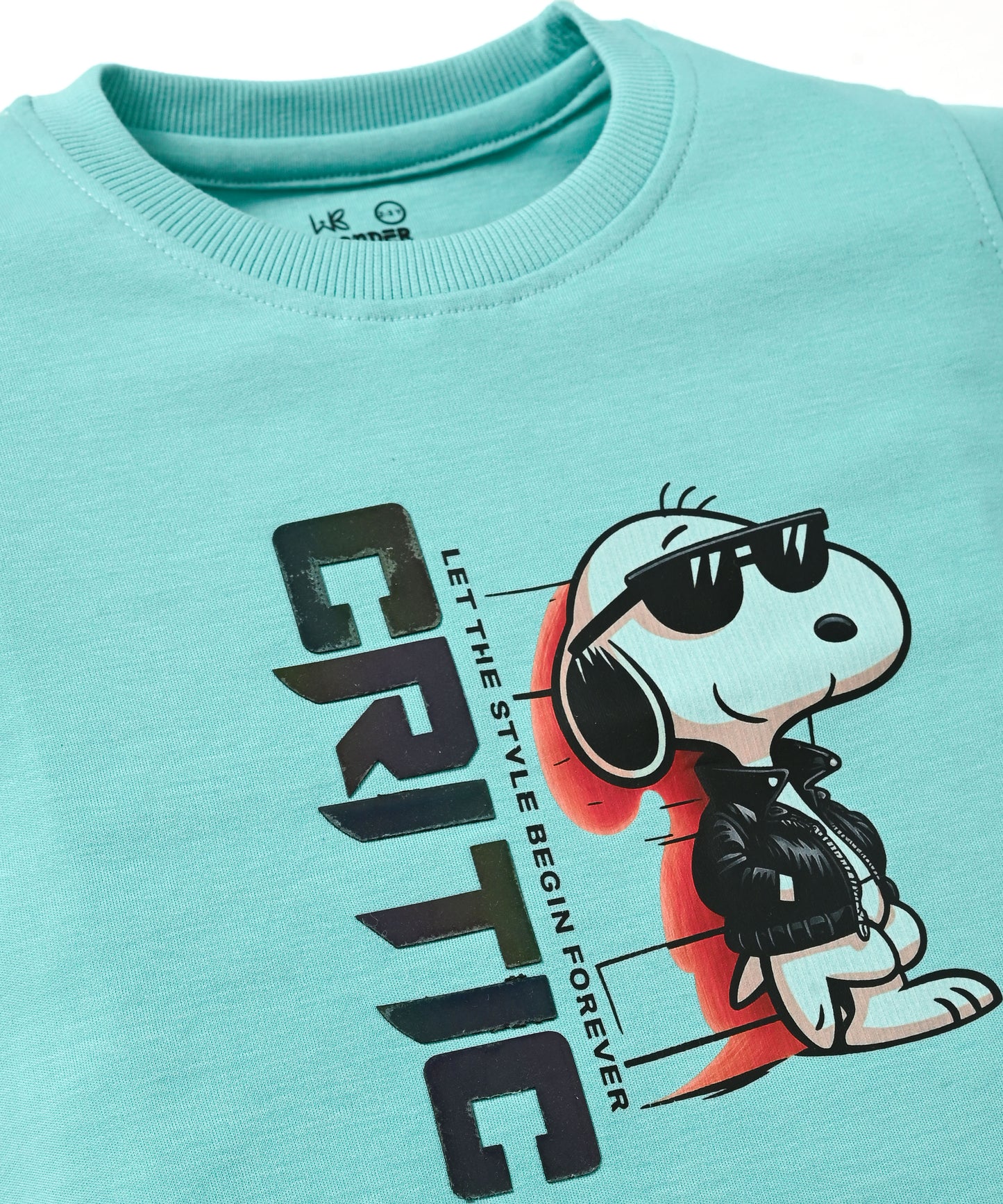 Critic Snoopy Full Sleeves Sweatshirt and Joggers Set | Green